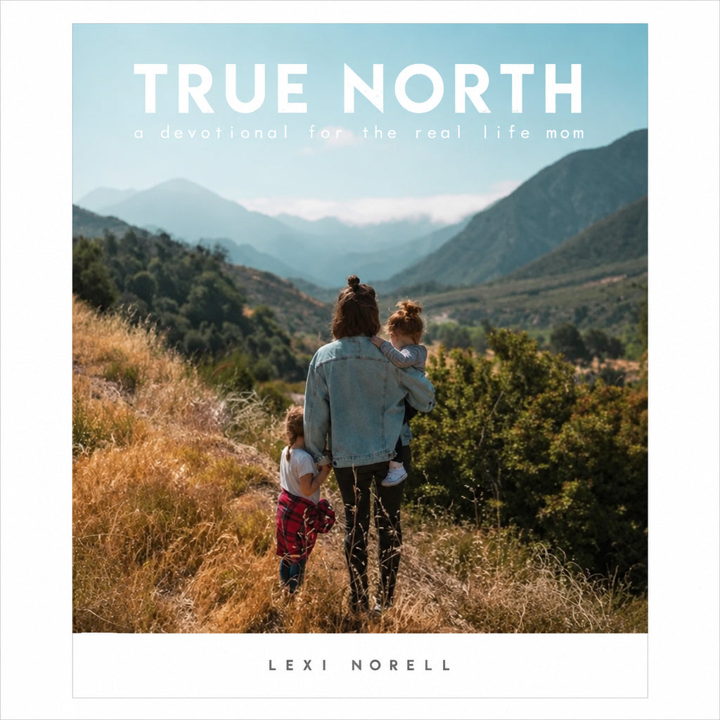 True North: A Devotional for the Real Life Mom - Paperback