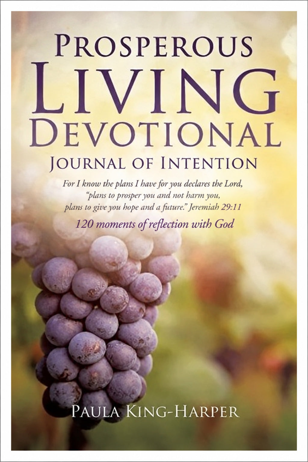 Prosperous Living Devotional
