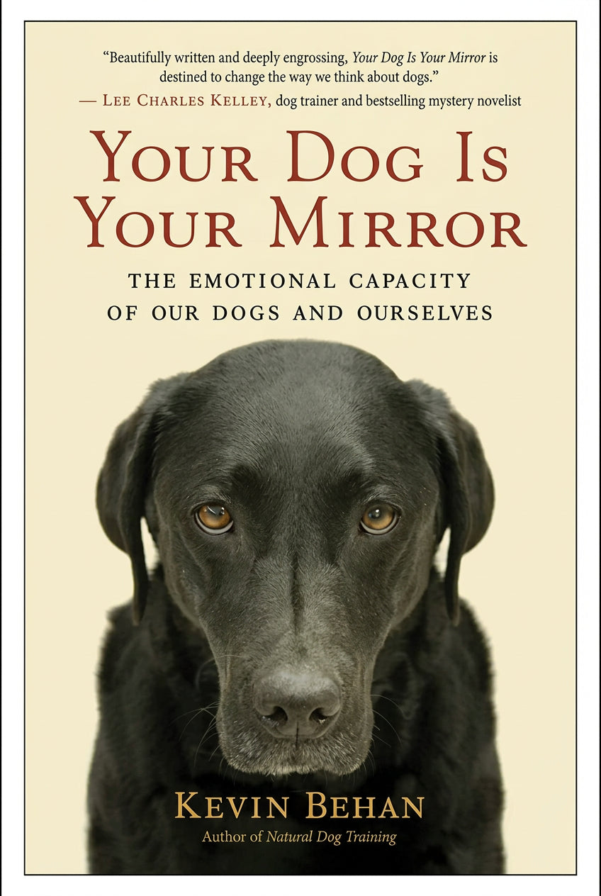 Your Dog Is Your Mirror: The Emotional Capacity of Our Dogs and Ourselves